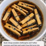 Soak Cheap Wooden Clothespins and 1 Other Common Yard Item and Watch How This Turns Into Something Truly Unbelievable!