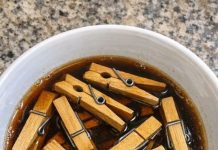 Soak Cheap Wooden Clothespins and 1 Other Common Yard Item and Watch How This Turns Into Something Truly Unbelievable!