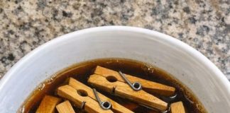 Soak Cheap Wooden Clothespins and 1 Other Common Yard Item and Watch How This Turns Into Something Truly Unbelievable!