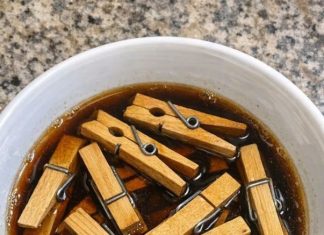 Soak Cheap Wooden Clothespins and 1 Other Common Yard Item and Watch How This Turns Into Something Truly Unbelievable!
