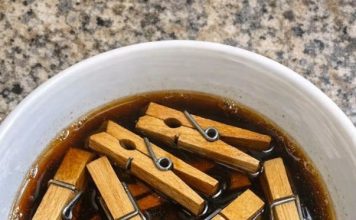 Soak Cheap Wooden Clothespins and 1 Other Common Yard Item and Watch How This Turns Into Something Truly Unbelievable!
