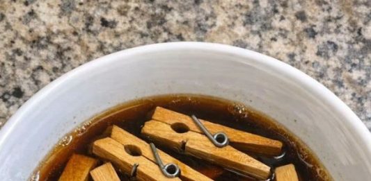Soak Cheap Wooden Clothespins and 1 Other Common Yard Item and Watch How This Turns Into Something Truly Unbelievable!