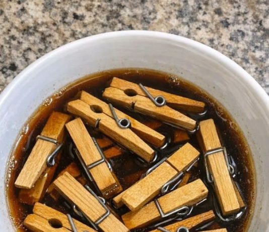 Soak Cheap Wooden Clothespins and 1 Other Common Yard Item and Watch How This Turns Into Something Truly Unbelievable!
