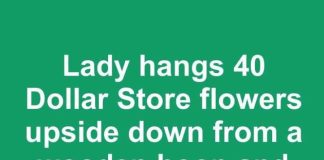 Lady Hangs 40 Dollar Store Flowers Upside Down From a Wooden Hoop and Wraps It With Fairy Lights. Everyone on My Street Is Copying This Porch Idea