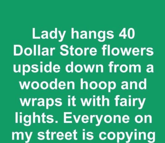 Lady Hangs 40 Dollar Store Flowers Upside Down From a Wooden Hoop and Wraps It With Fairy Lights. Everyone on My Street Is Copying This Porch Idea