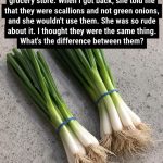 Difference Between Green Onions, Scallions, Spring Onions and Chives