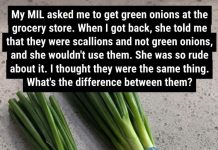 Difference Between Green Onions, Scallions, Spring Onions and Chives