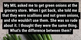 Difference Between Green Onions, Scallions, Spring Onions and Chives