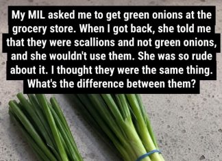 Difference Between Green Onions, Scallions, Spring Onions and Chives