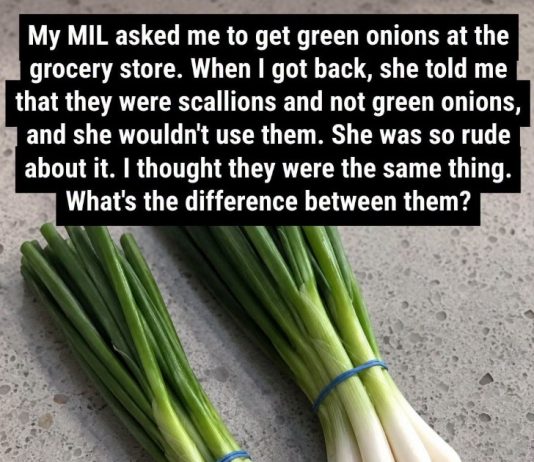 Difference Between Green Onions, Scallions, Spring Onions and Chives
