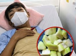 25-Year-Old Man Suffers Acute Kidney Failure After One Bite. Doctors Warn: Never Ignore the Bitter Taste of These 2 Vegetables