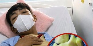 25-Year-Old Man Suffers Acute Kidney Failure After One Bite. Doctors Warn: Never Ignore the Bitter Taste of These 2 Vegetables