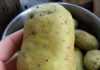 Why Do Potatoes Turn Green and Can We Still Eat Them?