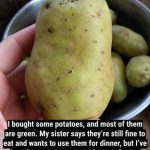 Why Do Potatoes Turn Green and Can We Still Eat Them?