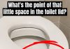 Have You Ever Wondered Why Public Restrooms Have U-Shaped Toilets?