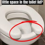 Have You Ever Wondered Why Public Restrooms Have U-Shaped Toilets?