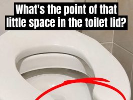 Have You Ever Wondered Why Public Restrooms Have U-Shaped Toilets?