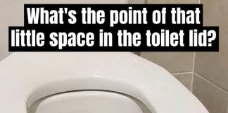 Have You Ever Wondered Why Public Restrooms Have U-Shaped Toilets?