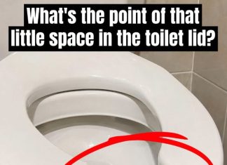 Have You Ever Wondered Why Public Restrooms Have U-Shaped Toilets?