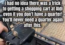 How to Shop at Aldi If You Forgot a Quarter