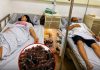 Couple Diagnosed with Liver Cancer: Why Proper Food Storage Matters More Than You Think