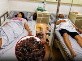 Couple Diagnosed with Liver Cancer: Why Proper Food Storage Matters More Than You Think