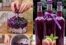 Natural Ginger Drink for Everyday Wellness