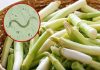 Why Raw Green Onions Can Carry Hidden Risks—and How to Eat Them Safely