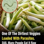 Why Raw Green Onions Can Carry Hidden Risks—and How to Eat Them Safely