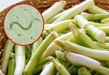 Why Raw Green Onions Can Carry Hidden Risks—and How to Eat Them Safely