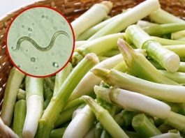 Why Raw Green Onions Can Carry Hidden Risks—and How to Eat Them Safely
