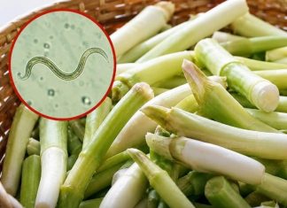 Why Raw Green Onions Can Carry Hidden Risks—and How to Eat Them Safely