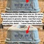 What the Numbers on Your Egg Carton Really Mean