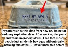 What the Numbers on Your Egg Carton Really Mean