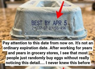 What the Numbers on Your Egg Carton Really Mean