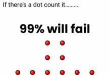How Many Dots Do You See?