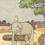 Everyone Sees an Elephant, but Not Everyone Can Tell Where a Horse Is