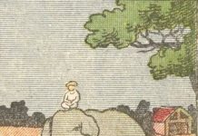 Everyone Sees an Elephant, but Not Everyone Can Tell Where a Horse Is