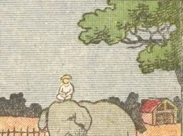 Everyone Sees an Elephant, but Not Everyone Can Tell Where a Horse Is