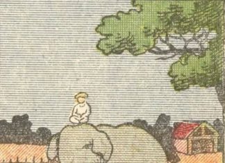 Everyone Sees an Elephant, but Not Everyone Can Tell Where a Horse Is