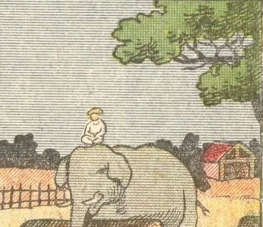 Everyone Sees an Elephant, but Not Everyone Can Tell Where a Horse Is