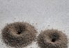 My Nana Taught Me This Trick to Kill Ant Colonies in Just 3 Mins With 0 Effort. Here’s How It Works