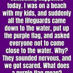 The Meaning of a Purple Flag at the Beach