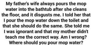Where to Dispose of Dirty Mop Water: Toilet or Bathtub?