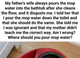 Where to Dispose of Dirty Mop Water: Toilet or Bathtub?