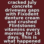 I Filled My Cracked July Concrete Driveway Gaps with Fixodent Denture Cream and Crushed Flintstones Vitamins Every Morning for 14 Days. This Is What Happened