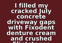 I Filled My Cracked July Concrete Driveway Gaps with Fixodent Denture Cream and Crushed Flintstones Vitamins Every Morning for 14 Days. This Is What Happened