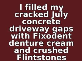 I Filled My Cracked July Concrete Driveway Gaps with Fixodent Denture Cream and Crushed Flintstones Vitamins Every Morning for 14 Days. This Is What Happened