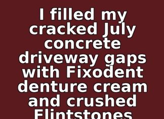 I Filled My Cracked July Concrete Driveway Gaps with Fixodent Denture Cream and Crushed Flintstones Vitamins Every Morning for 14 Days. This Is What Happened