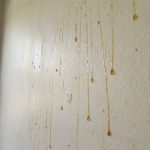 Yellow Stuff Starts Dripping Down Your Bathroom Walls? Here’s What It Might Be